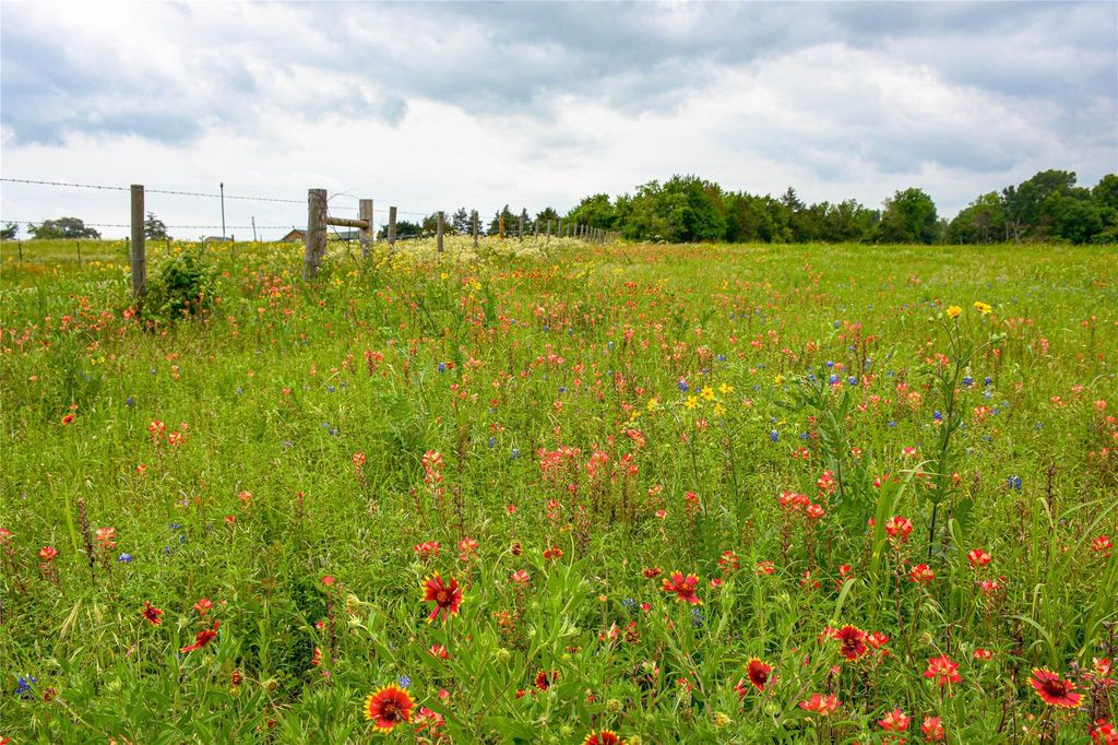 5530 Old Chappell Hill RD, Brenham, TX 77833