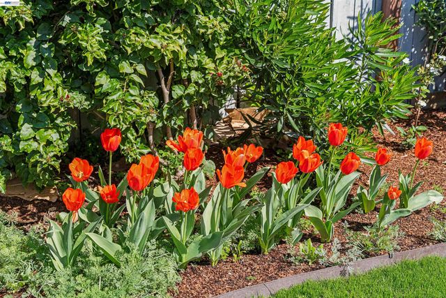 1262 94th Avenue, Oakland, CA 94603