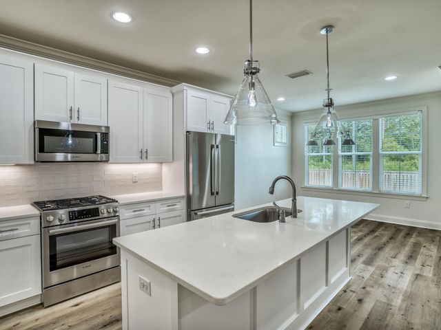 113 Conifer Court, Watersound, FL 32461