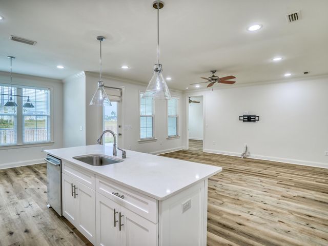 113 Conifer Court, Watersound, FL 32461