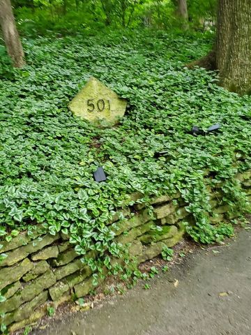 501 Glenwood Trail, Elgin, IL 60120