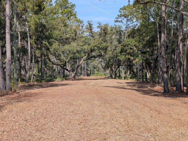 0 King Rail Lane, Edisto Island, SC 29438