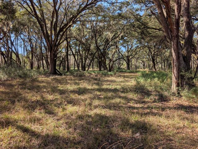 0 King Rail Lane, Edisto Island, SC 29438