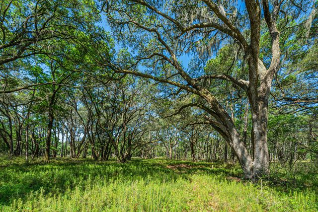 0 King Rail Lane, Edisto Island, SC 29438