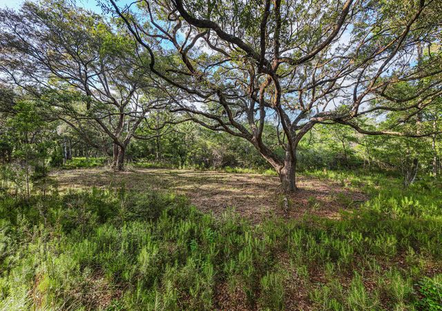 0 King Rail Lane, Edisto Island, SC 29438