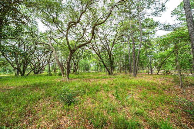 0 King Rail Lane, Edisto Island, SC 29438