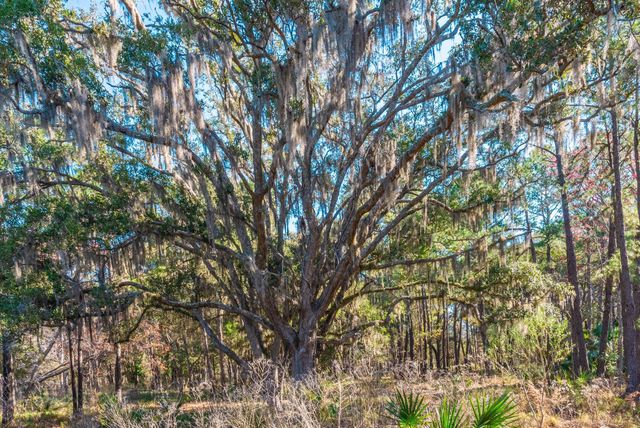 0 King Rail Lane, Edisto Island, SC 29438
