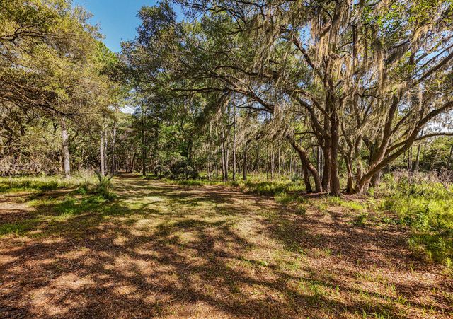 0 King Rail Lane, Edisto Island, SC 29438