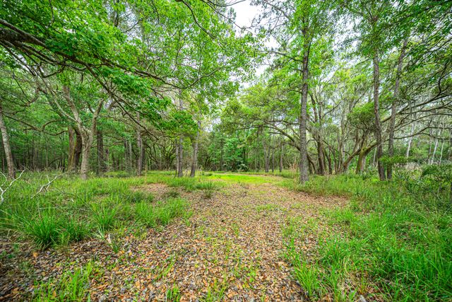 0 King Rail Lane, Edisto Island, SC 29438