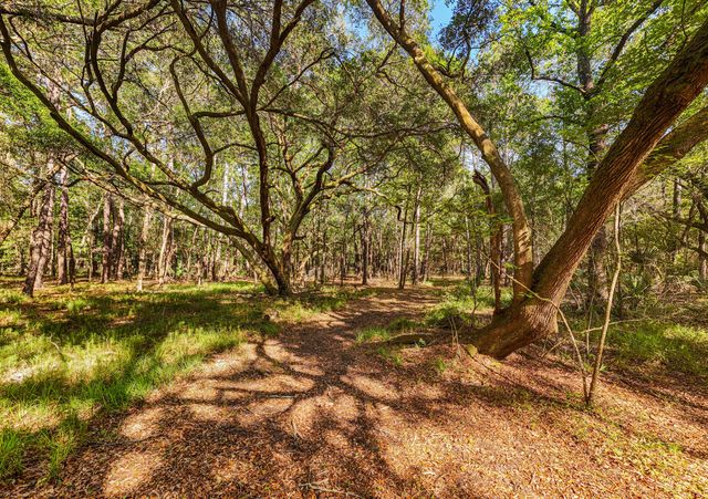 0 King Rail Lane, Edisto Island, SC 29438