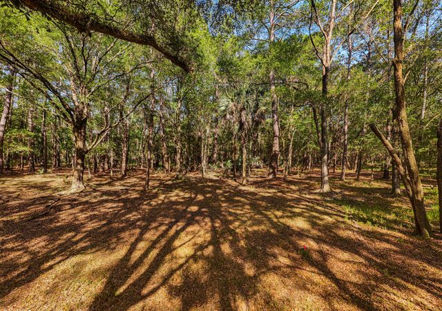 0 King Rail Lane, Edisto Island, SC 29438