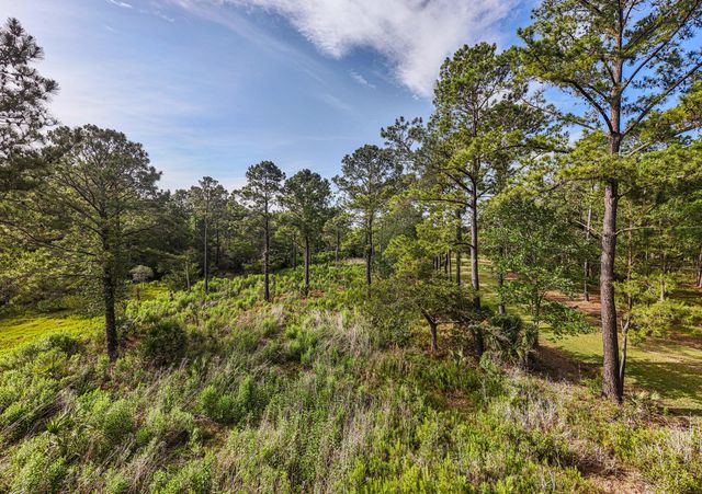 0 King Rail Lane, Edisto Island, SC 29438