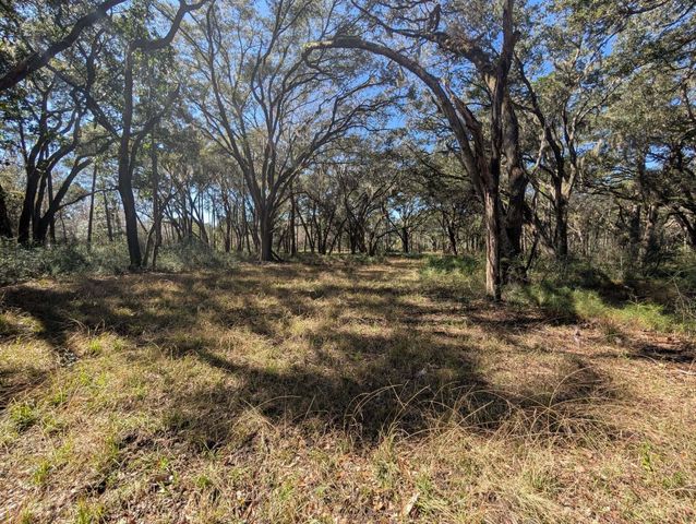 0 King Rail Lane, Edisto Island, SC 29438