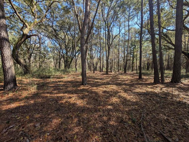 0 King Rail Lane, Edisto Island, SC 29438