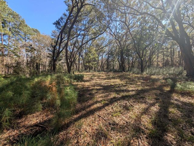 0 King Rail Lane, Edisto Island, SC 29438