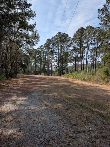 0 King Rail Lane, Edisto Island, SC 29438