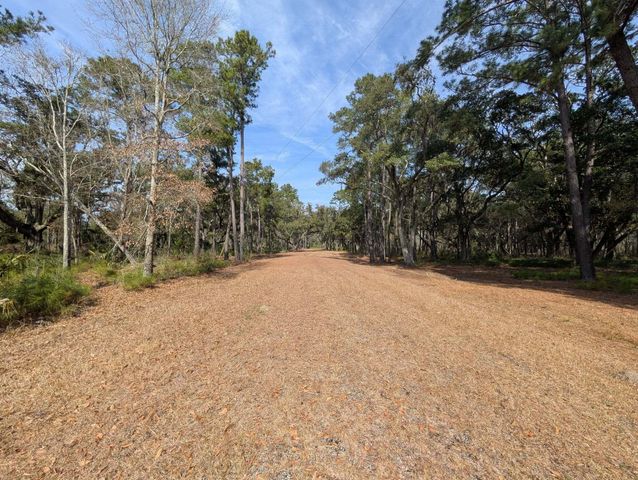 0 King Rail Lane, Edisto Island, SC 29438