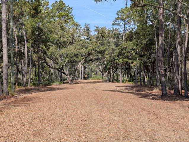 0 King Rail Lane, Edisto Island, SC 29438