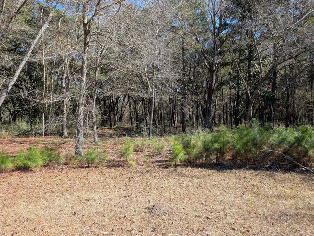 0 King Rail Lane, Edisto Island, SC 29438