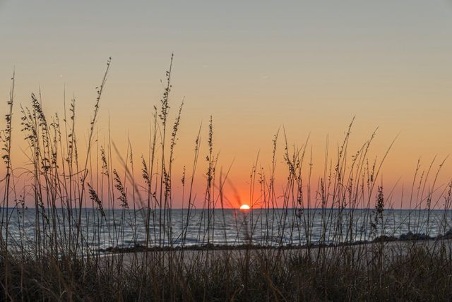 0 King Rail Lane, Edisto Island, SC 29438