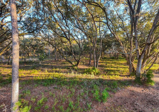 0 King Rail Lane, Edisto Island, SC 29438