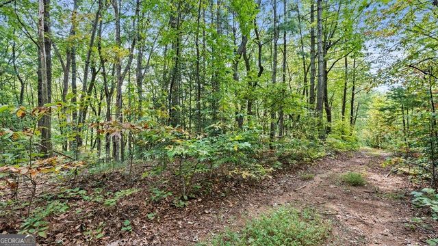 23 C Double Knob, Cherry Log, GA 30522