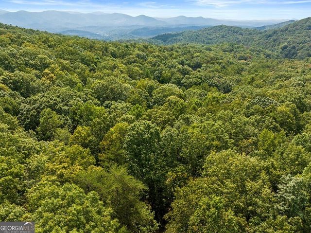 23 C Double Knob, Cherry Log, GA 30522