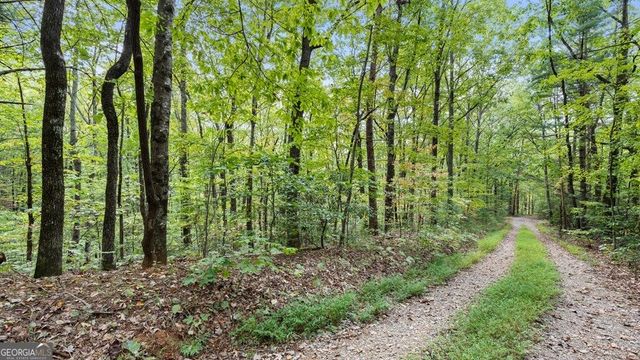 23 C Double Knob, Cherry Log, GA 30522