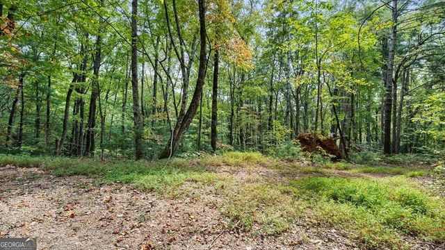 23 C Double Knob, Cherry Log, GA 30522