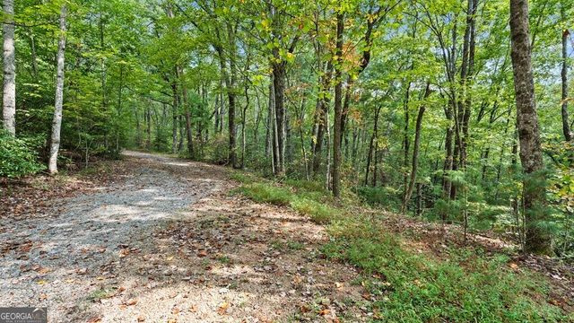 23 C Double Knob, Cherry Log, GA 30522