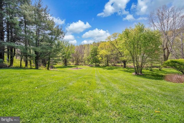 3195 FIERY RUN RD, Linden, VA 22642