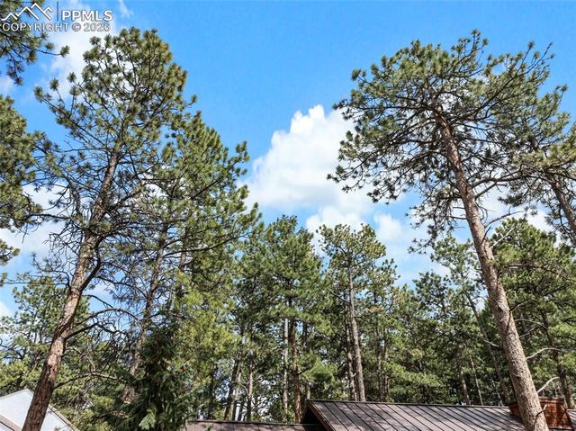 305 N Walnut Street, Woodland Park, CO 80863