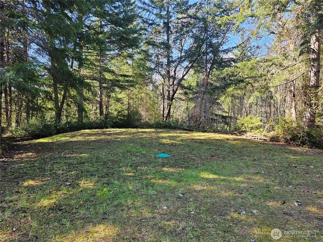 753 Jupiter Loop, Brinnon, WA 98320