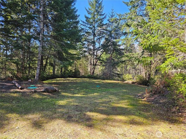 753 Jupiter Loop, Brinnon, WA 98320