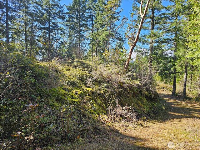 753 Jupiter Loop, Brinnon, WA 98320