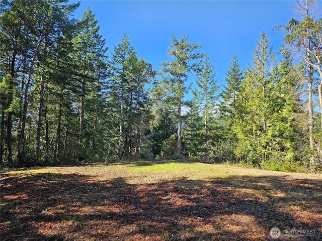753 Jupiter Loop, Brinnon, WA 98320