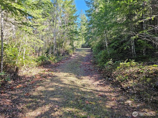 753 Jupiter Loop, Brinnon, WA 98320
