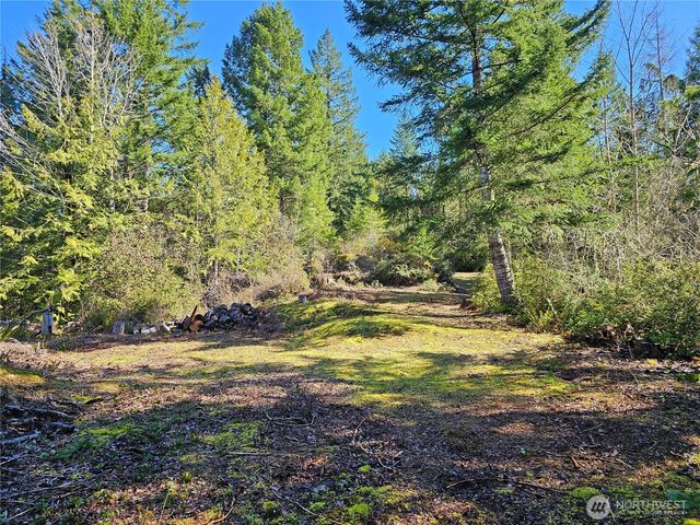 753 Jupiter Loop, Brinnon, WA 98320
