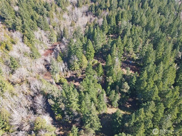 753 Jupiter Loop, Brinnon, WA 98320