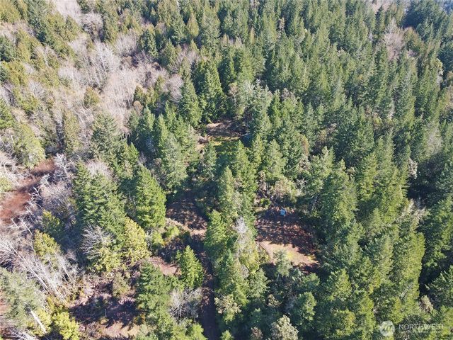 753 Jupiter Loop, Brinnon, WA 98320