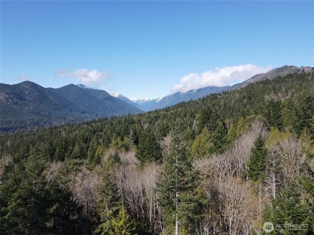 753 Jupiter Loop, Brinnon, WA 98320