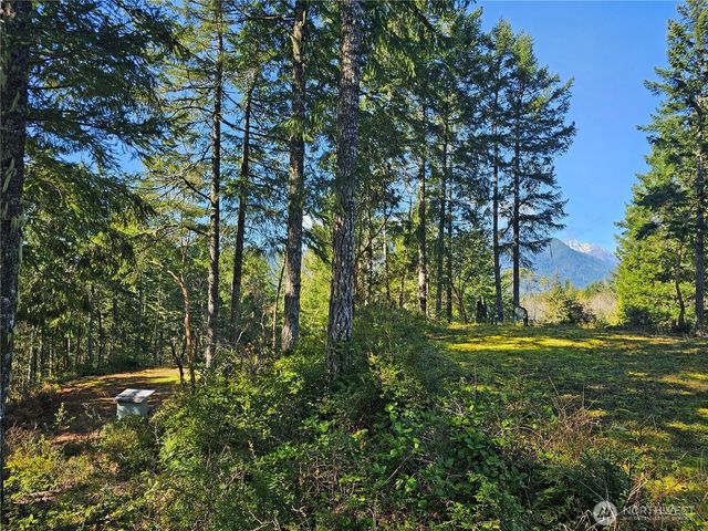 753 Jupiter Loop, Brinnon, WA 98320
