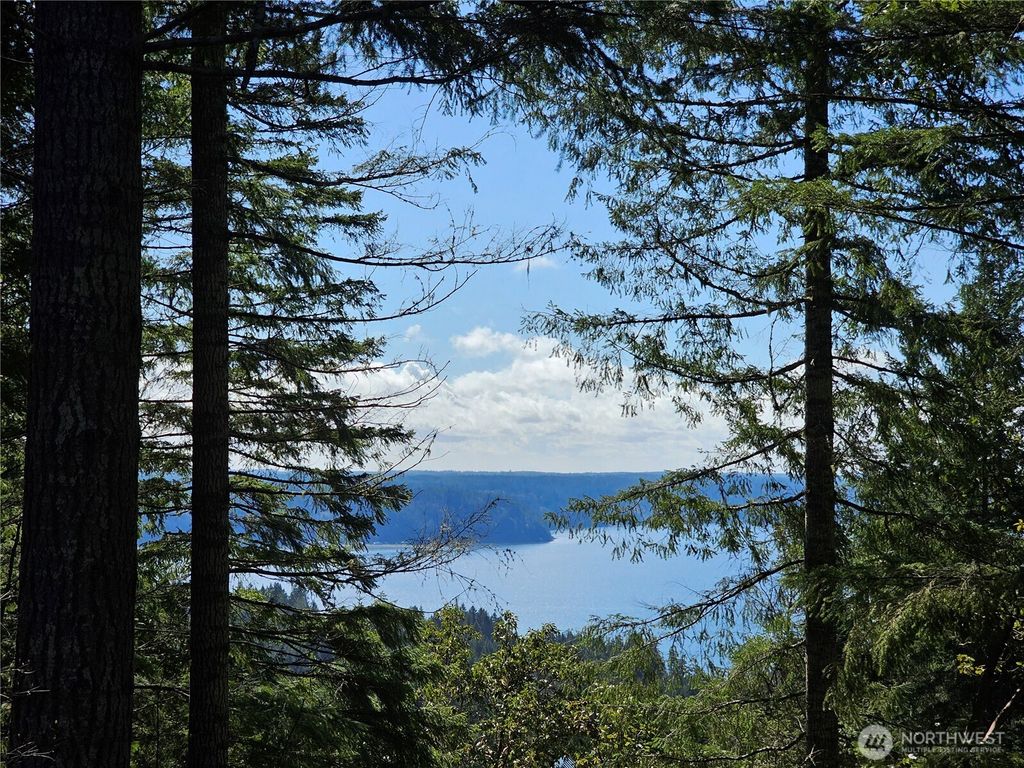 753 Jupiter Loop, Brinnon, WA 98320