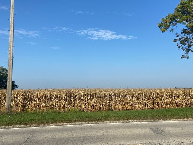 28200 S Lagrange Highway, Peotone, IL 60468