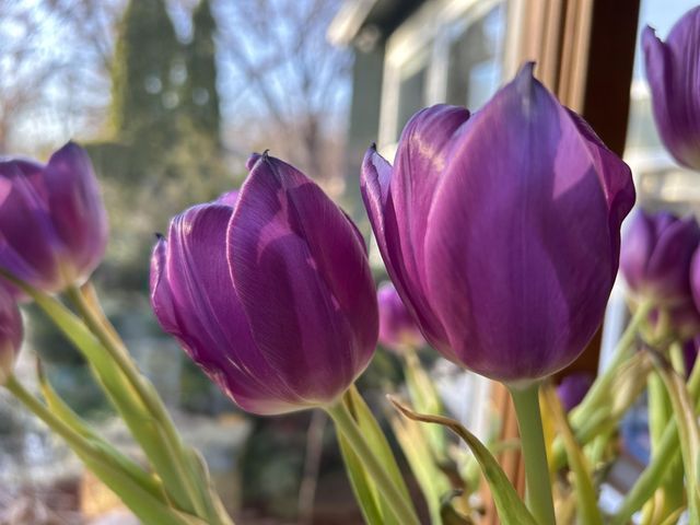 2955 Regent Avenue N, Golden Valley, MN 55422