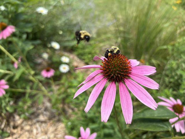 2955 Regent Avenue N, Golden Valley, MN 55422