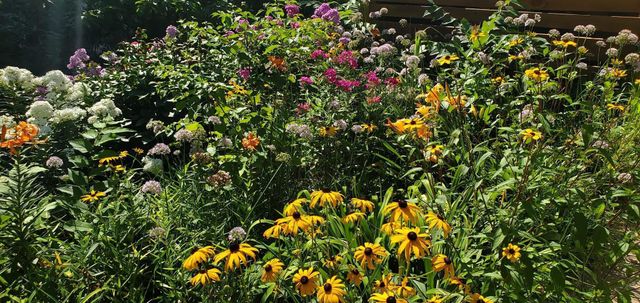 2955 Regent Avenue N, Golden Valley, MN 55422