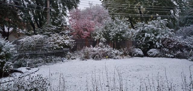 2955 Regent Avenue N, Golden Valley, MN 55422