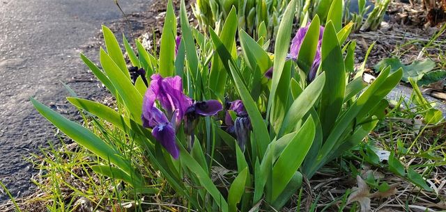 2955 Regent Avenue N, Golden Valley, MN 55422