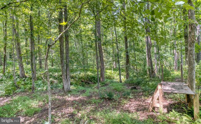 3480 SOUTHAMPTON DR, Jeffersonton, VA 22724
